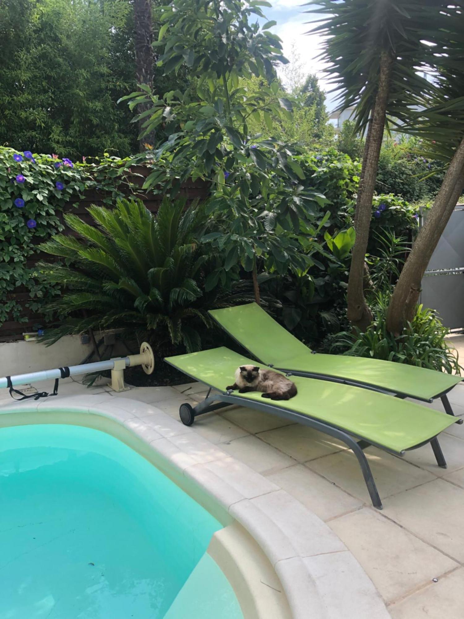 Villa Beausejour Cannes Exterior photo